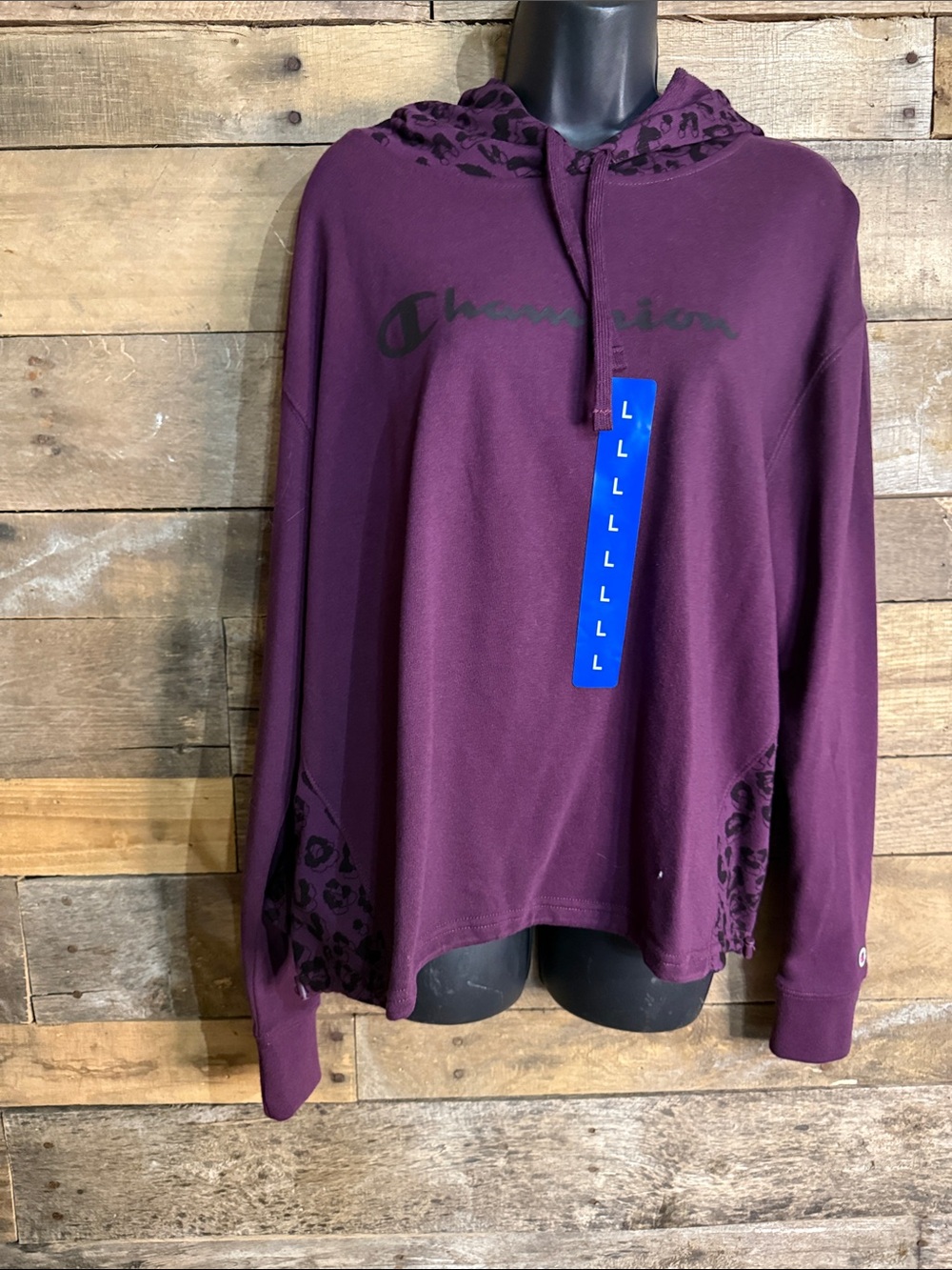 Champion Logo Print Plum Red Block Hoodie for Women- Large